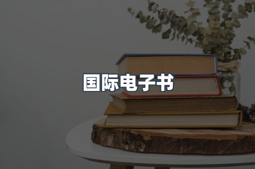 国际电子书